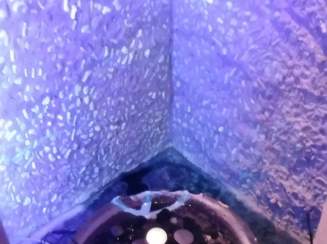 横滨港湾未来万叶俱乐部主图