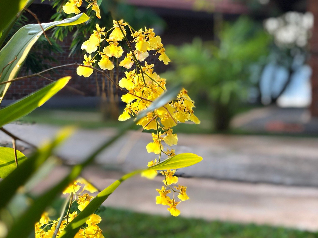 Suri Retreat Villa主图