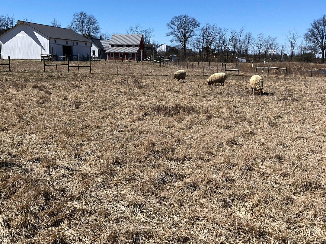 Gallant Farm Preserve-Delaware必去景点