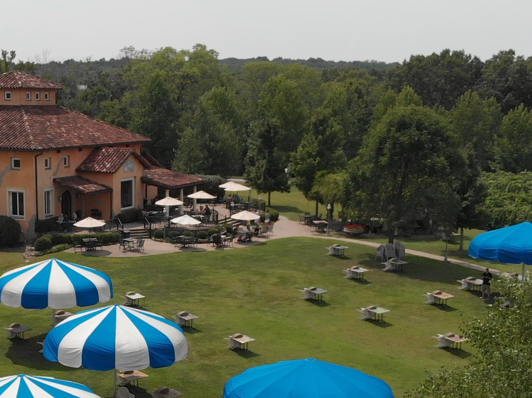 Blue Sky Vineyard主图