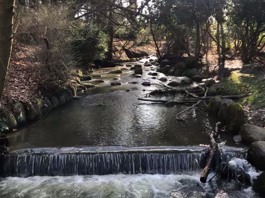 Skovsøen-欧登塞必去景点