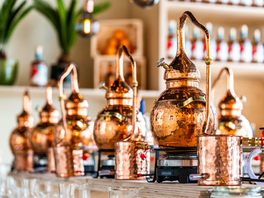 Spirited Union Distillery Experience-阿姆斯特丹必去景点