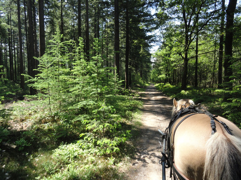 Huifkarcentrum de Kronkel-Hoog-Soeren必去景点