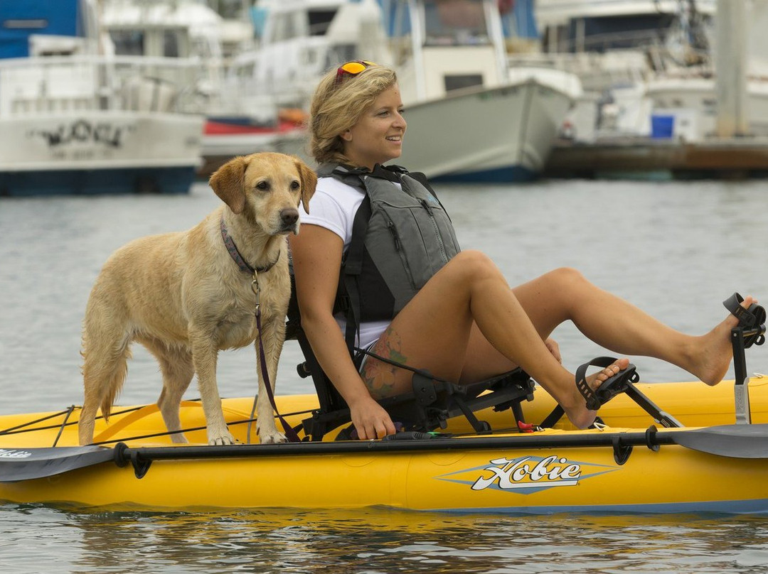 Moors Resort & Marina on Kentucky Lake主图