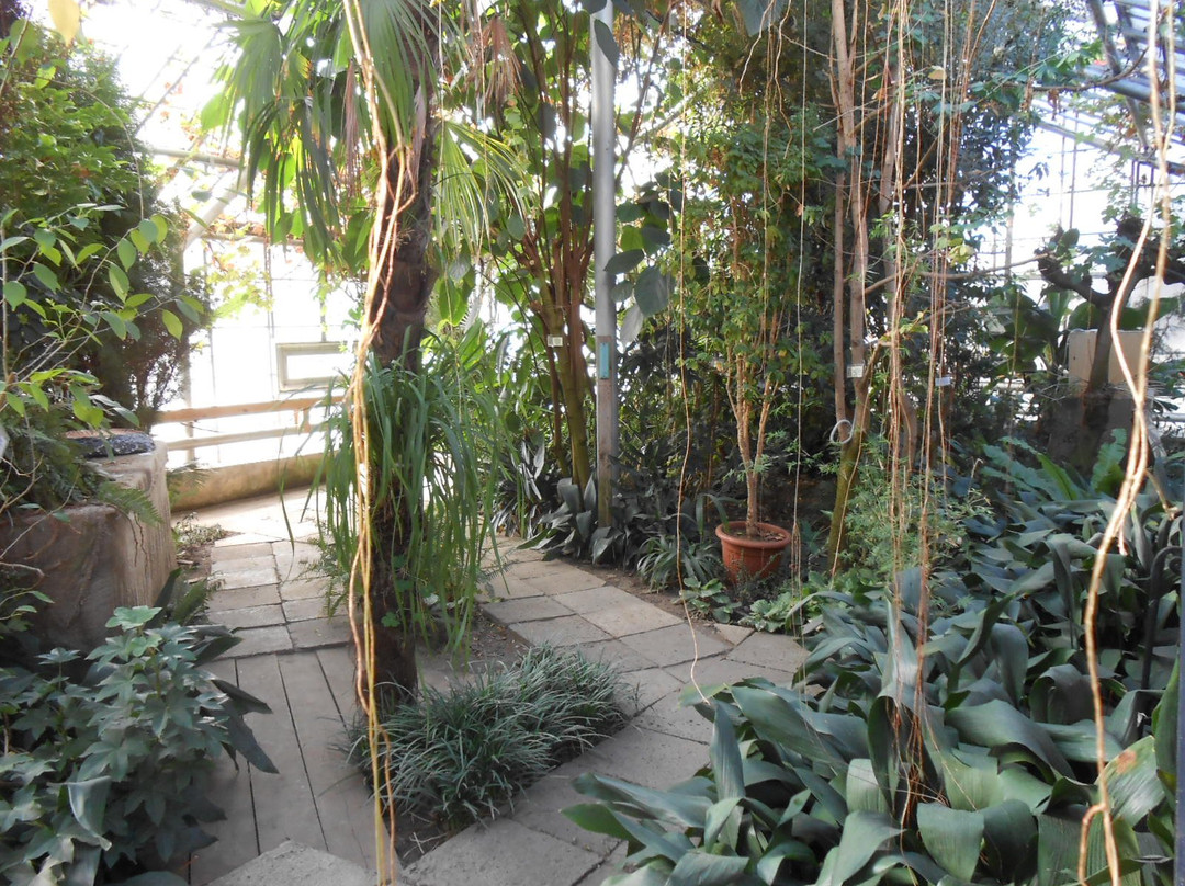 Botanical Garden of ISU-伊尔库茨克必去景点