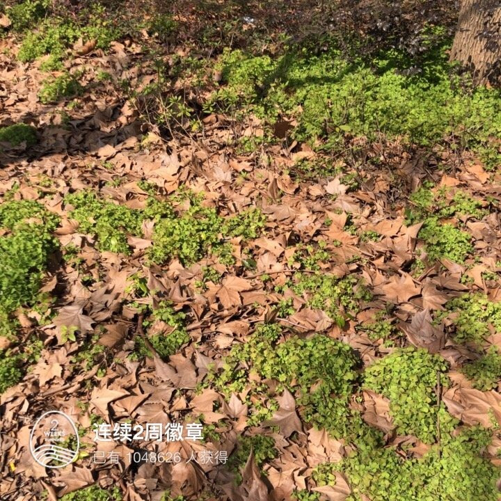 北仑九峰山-宁波市必去景点