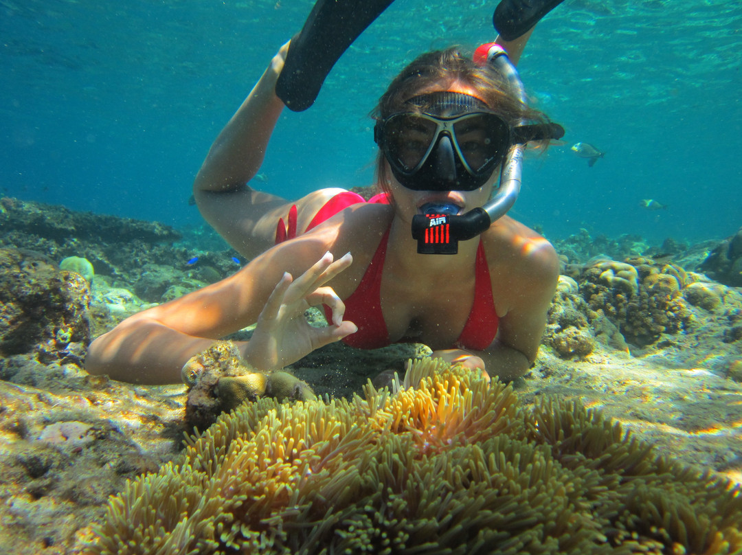La Bella Dive Pemuteran景点图片