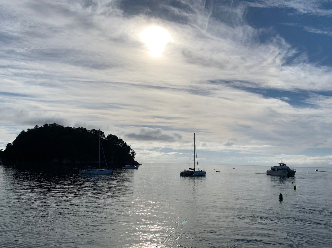 Abel Tasman Sea Shuttle Ltd-莫图伊卡必去景点