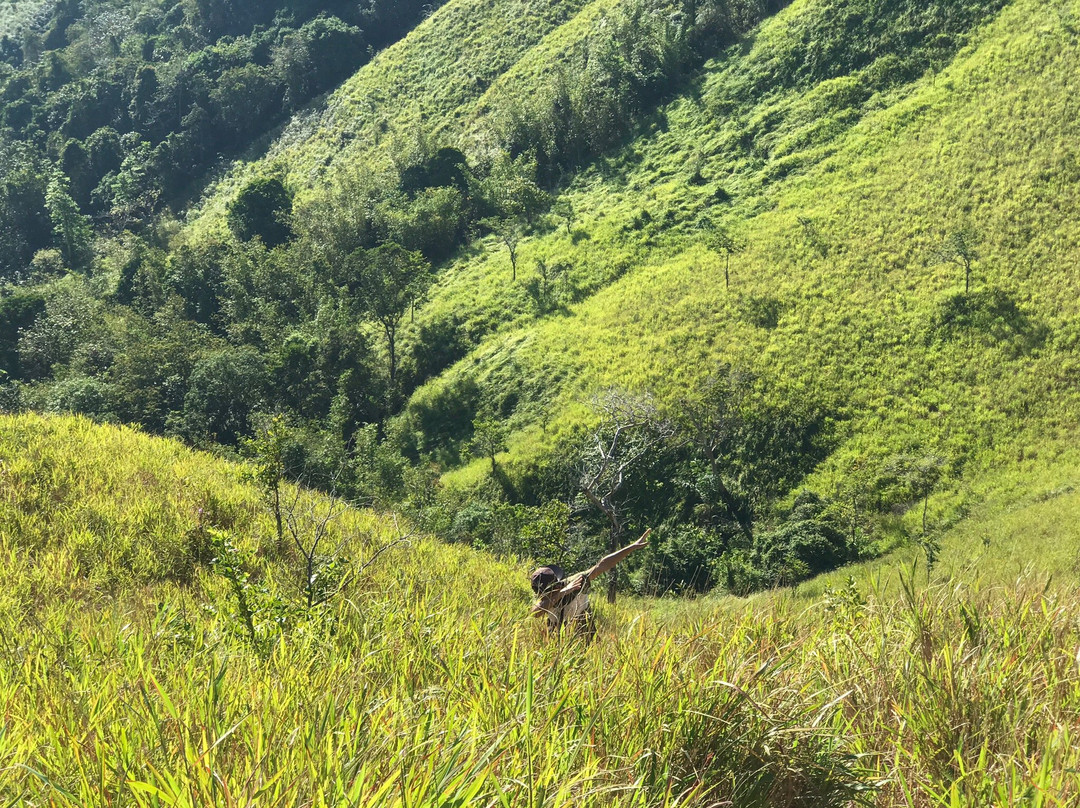 Bukit Bongol景点图片