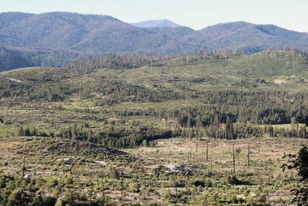 Big Oak Flat Road-格罗夫兰必去景点