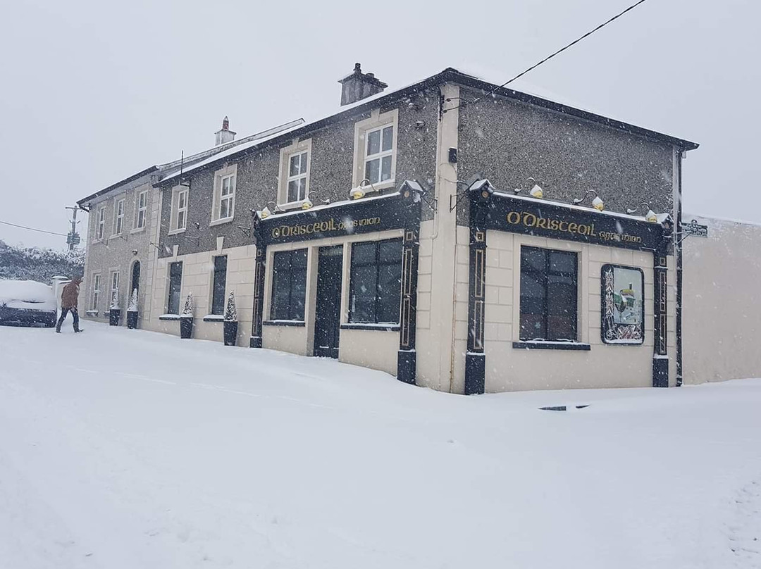 O'Driscolls Bar & Beer Garden-Tinnahinch必去景点