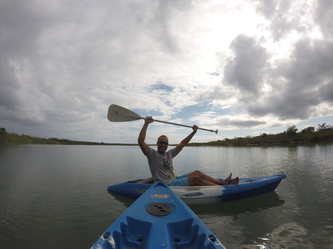 The Easy Adventure主图