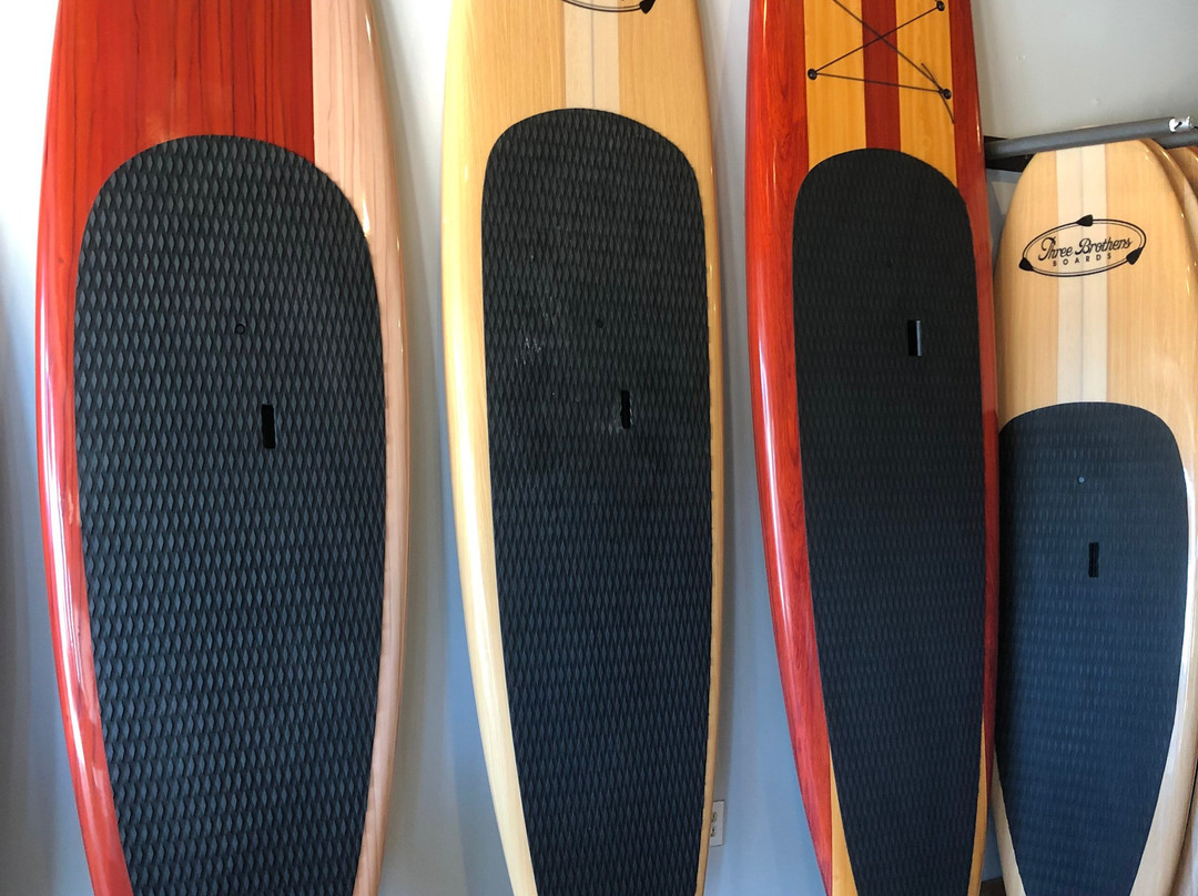 Three Brothers Boards Dolphin and Manatee Paddle Board Tours景点图片