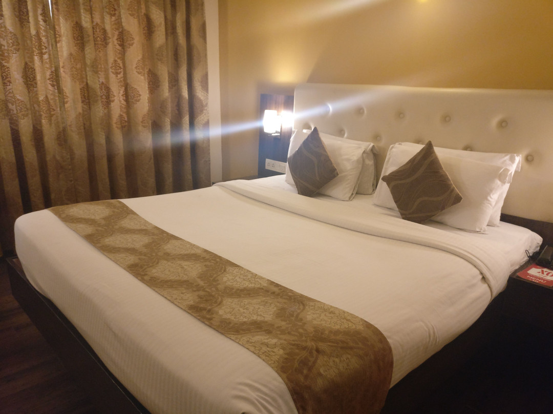 Mango Hotels Nagpur, Central Avenue Road主图