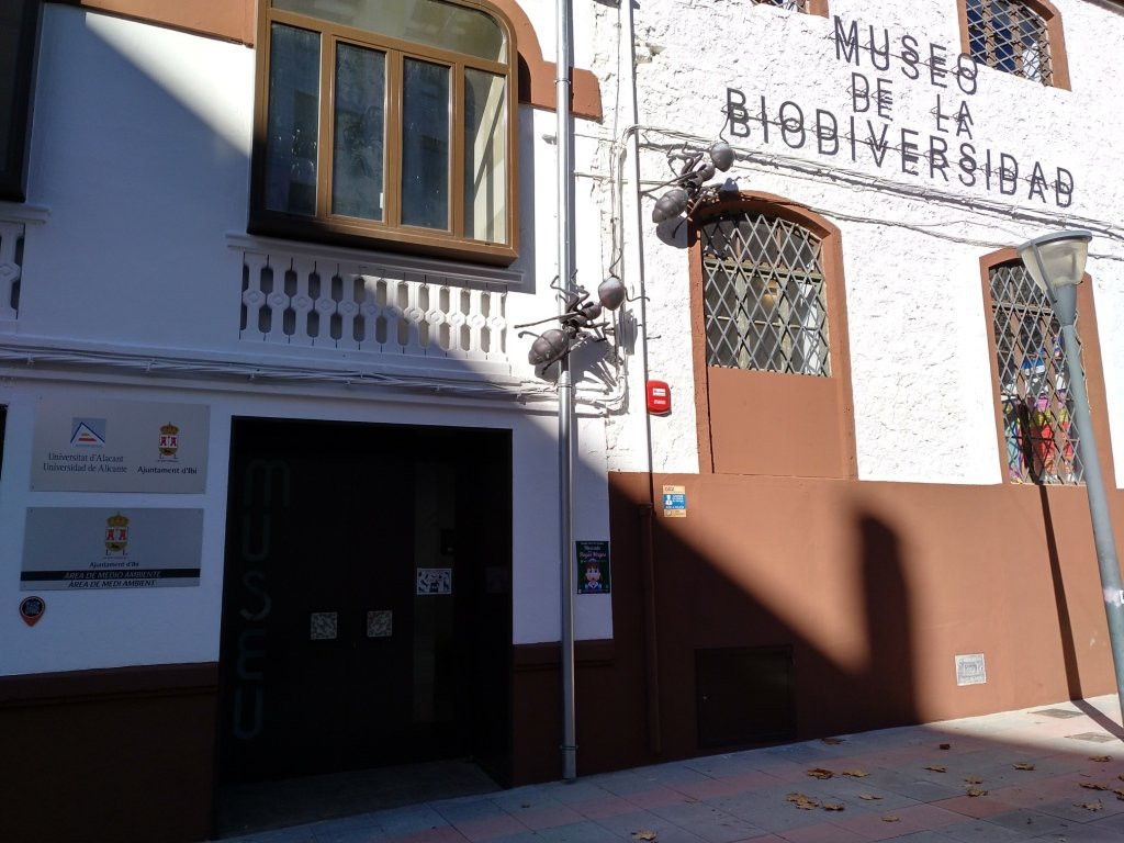 Museo de la Biodiversidad景点图片