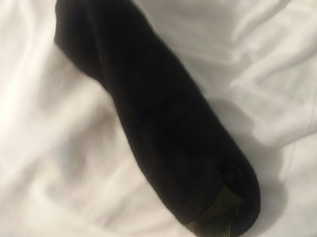 Lake Norfork Resort主图