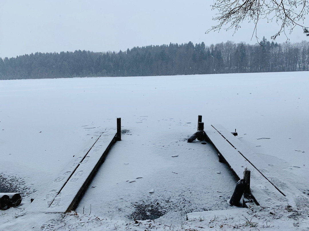 Steinsee-Moosach必去景点