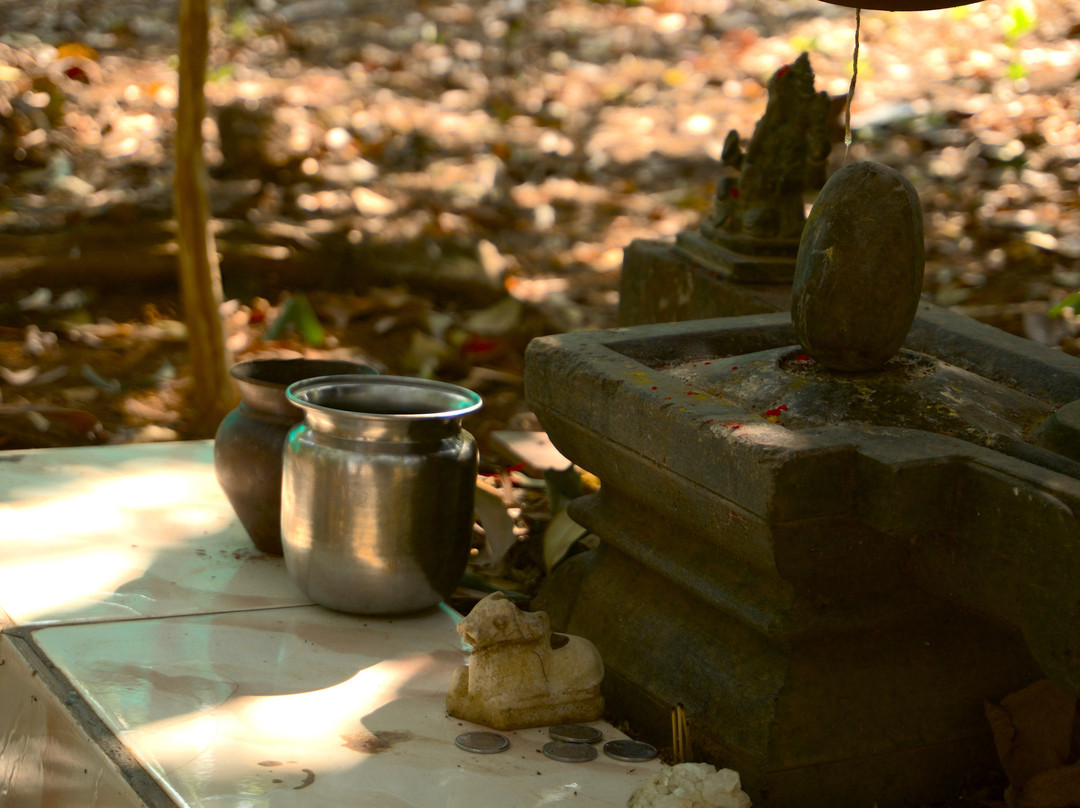 Heartfulness Resort主图