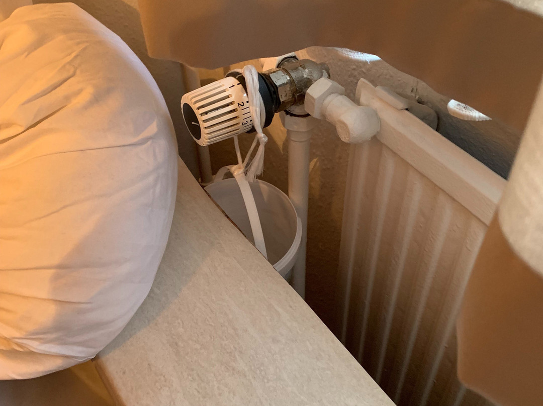 Hotel Saechsischer Hof主图