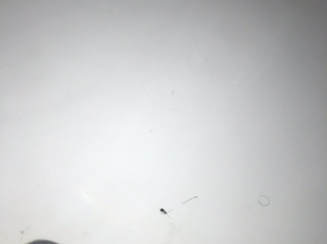 麦诺利亚海湾酒店&套房酒店主图