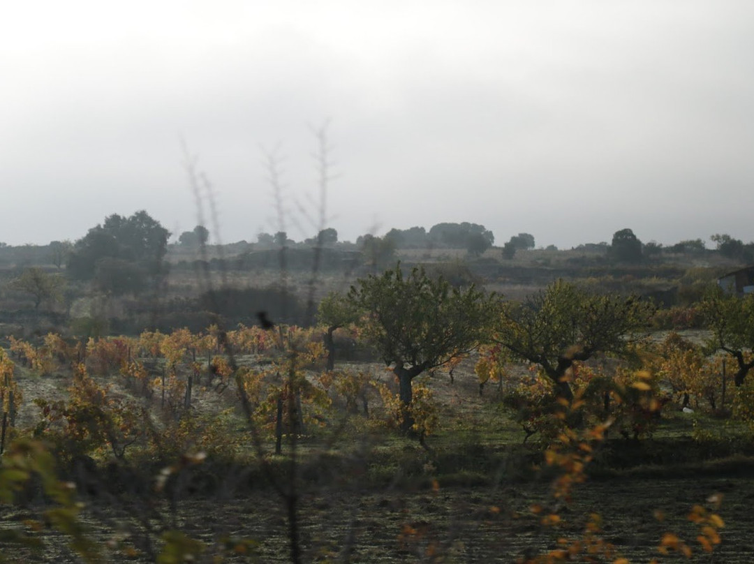 Miradouro Natural do Alto da Sapinha-Figueira de Castelo Rodrigo必去景点