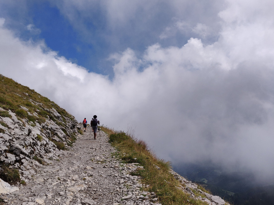 Lac de Peyre景点图片