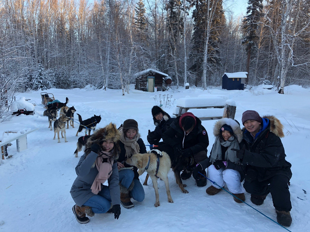 YoopAK Kennel and Tours-Nenana必去景点