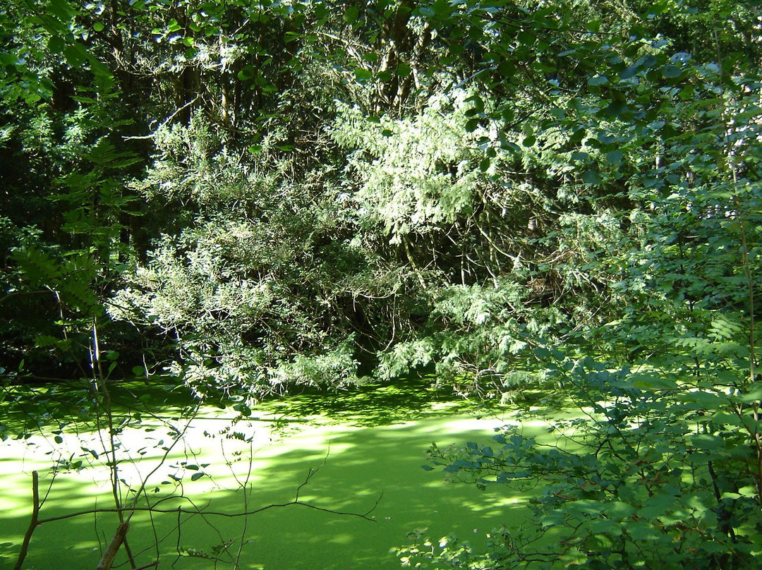 Backershagen: tuinkoepel in Wassenaar景点图片