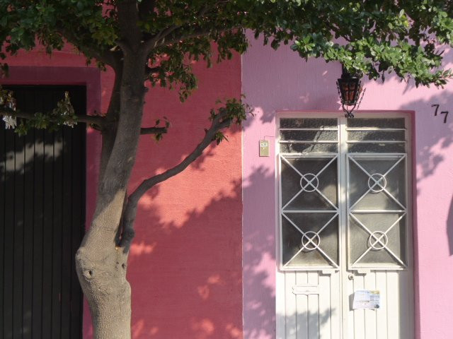 Arcos de Zapopan景点图片