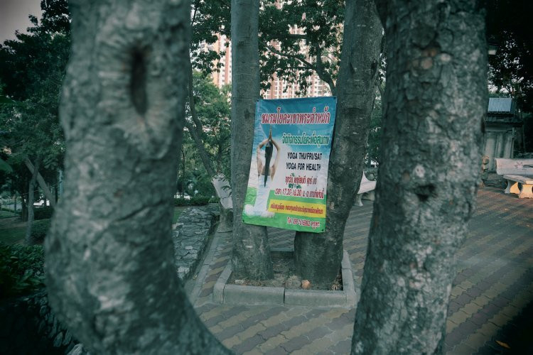 Queen Sirikit Park-孟腊茫必去景点