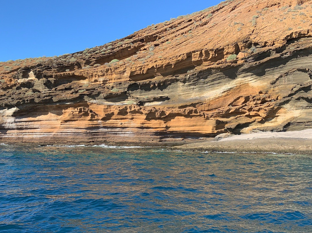 Tenerife Boats-奥德杰海岸必去景点