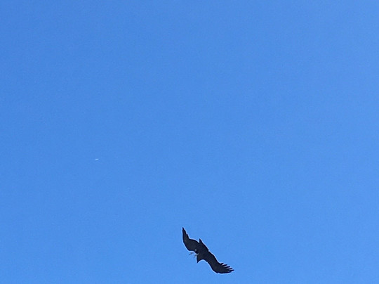 Observatorio Astronómico Bosque Alegre-Falda del Carmen必去景点