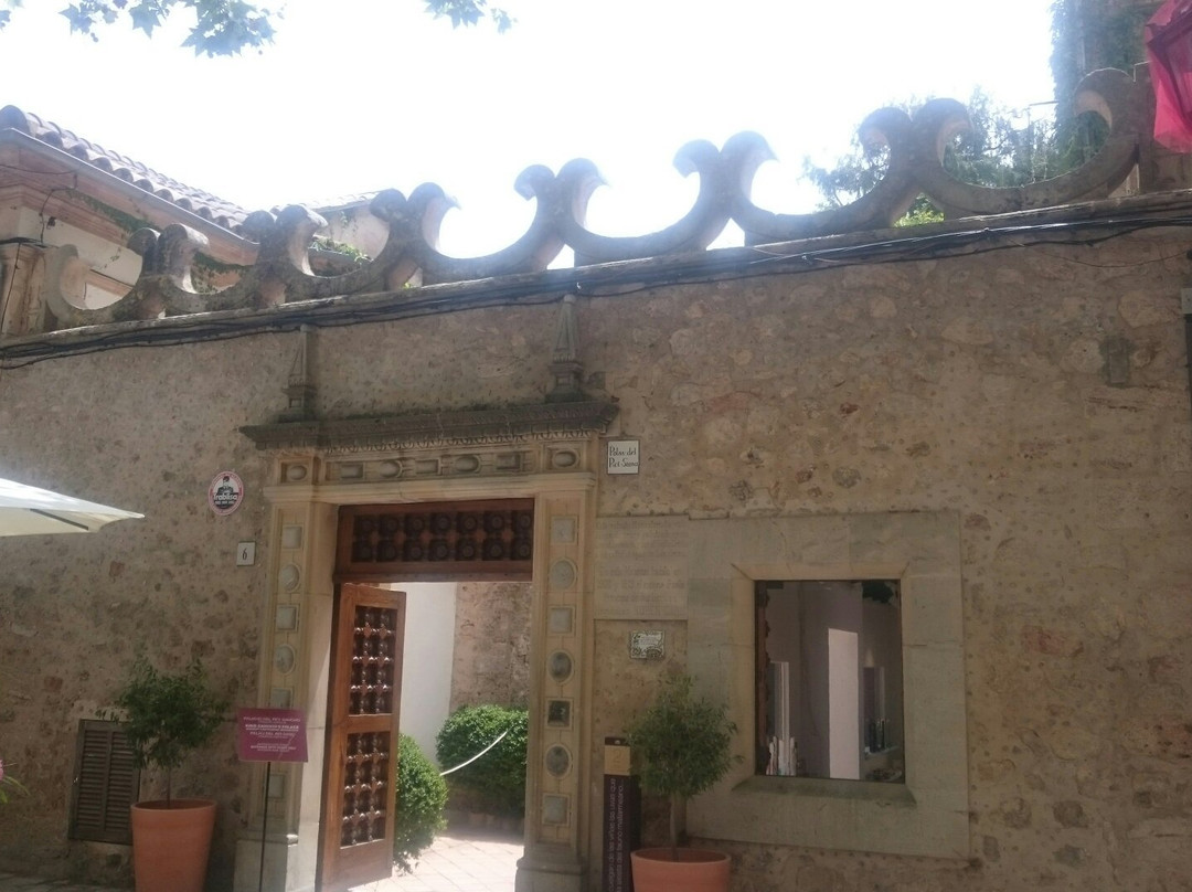 Palacio del Rei Sanc景点图片