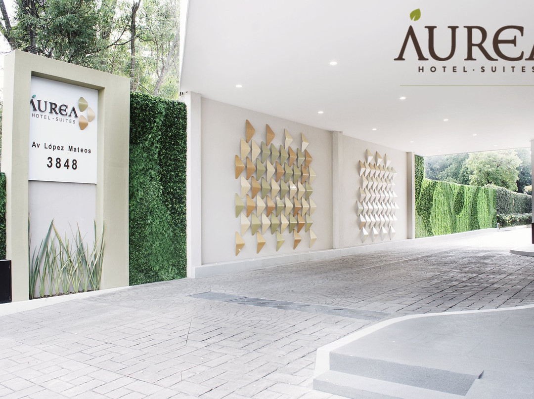 Áurea Hotel & Suites主图