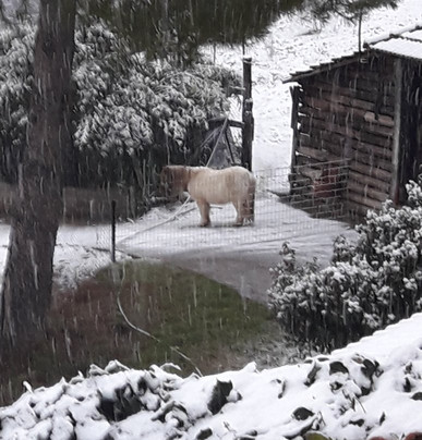 Aphrodite's Inn主图