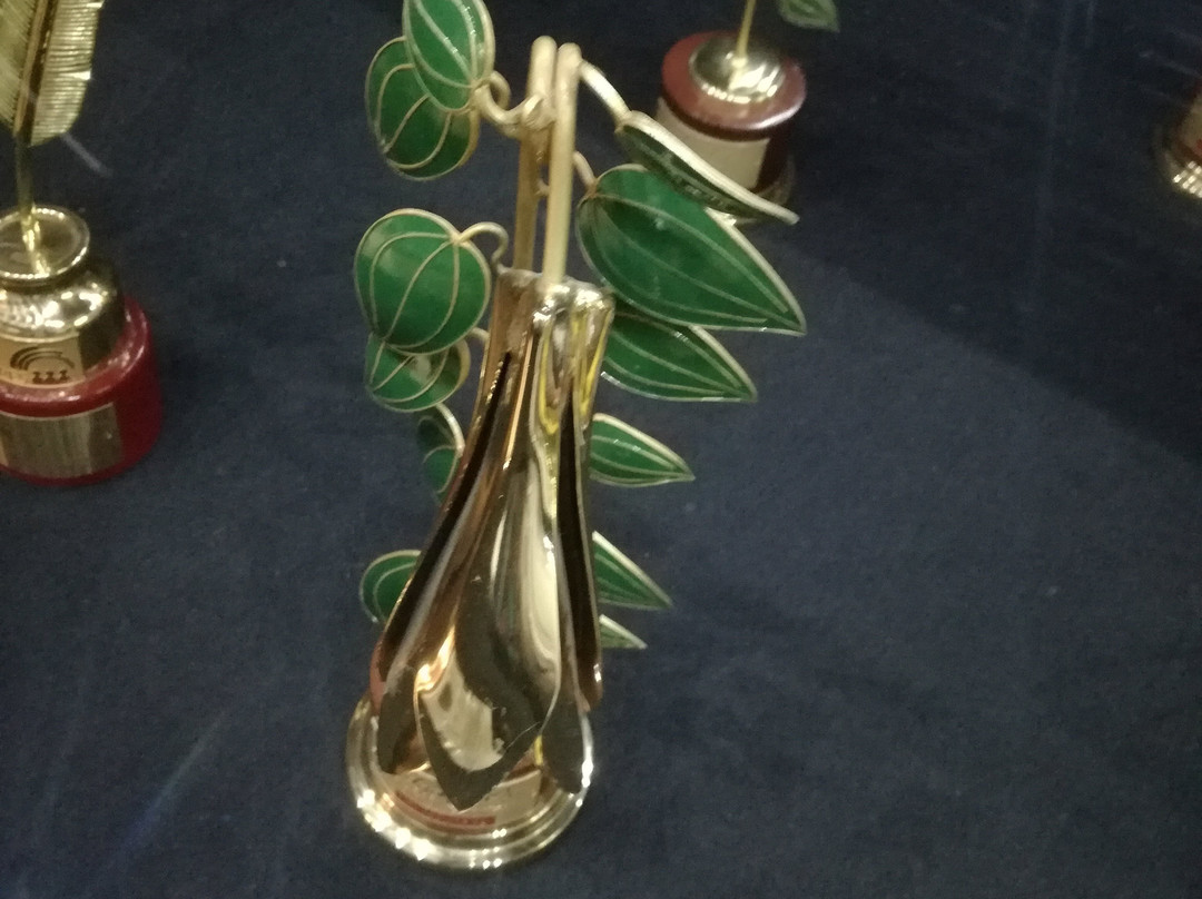 Museo Municipal de Villa Alegre-Villa Alegre必去景点