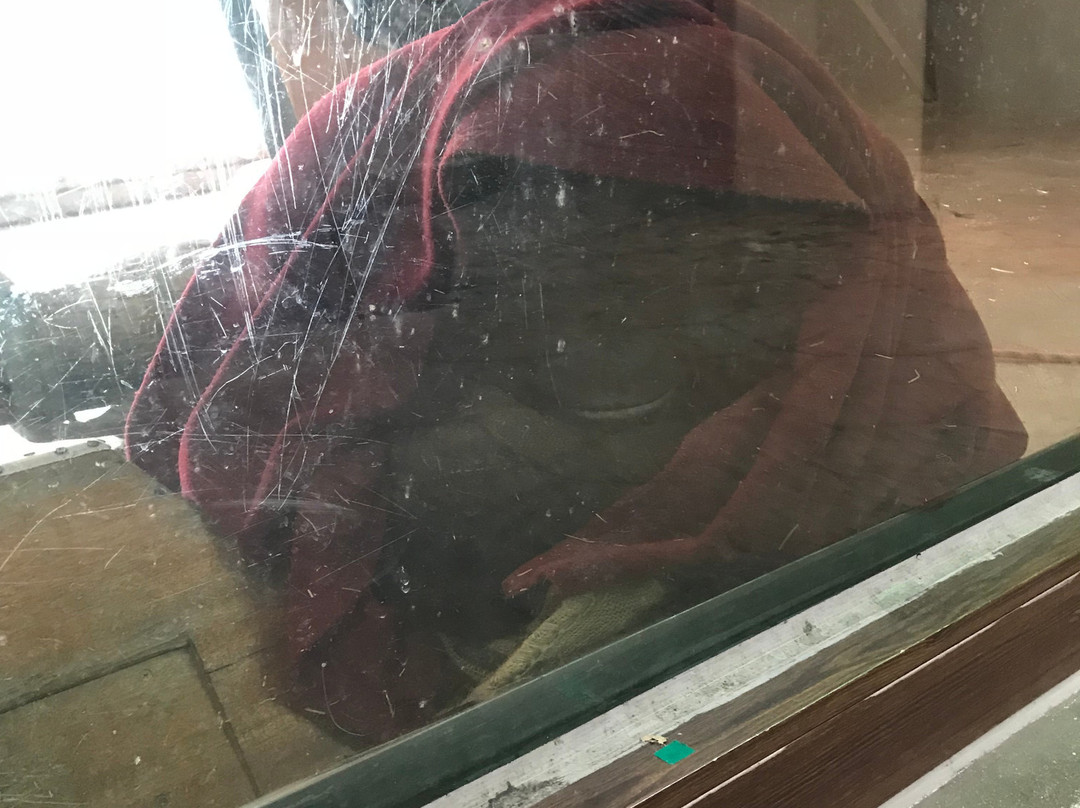 Jeonju Zoo-全州市必去景点