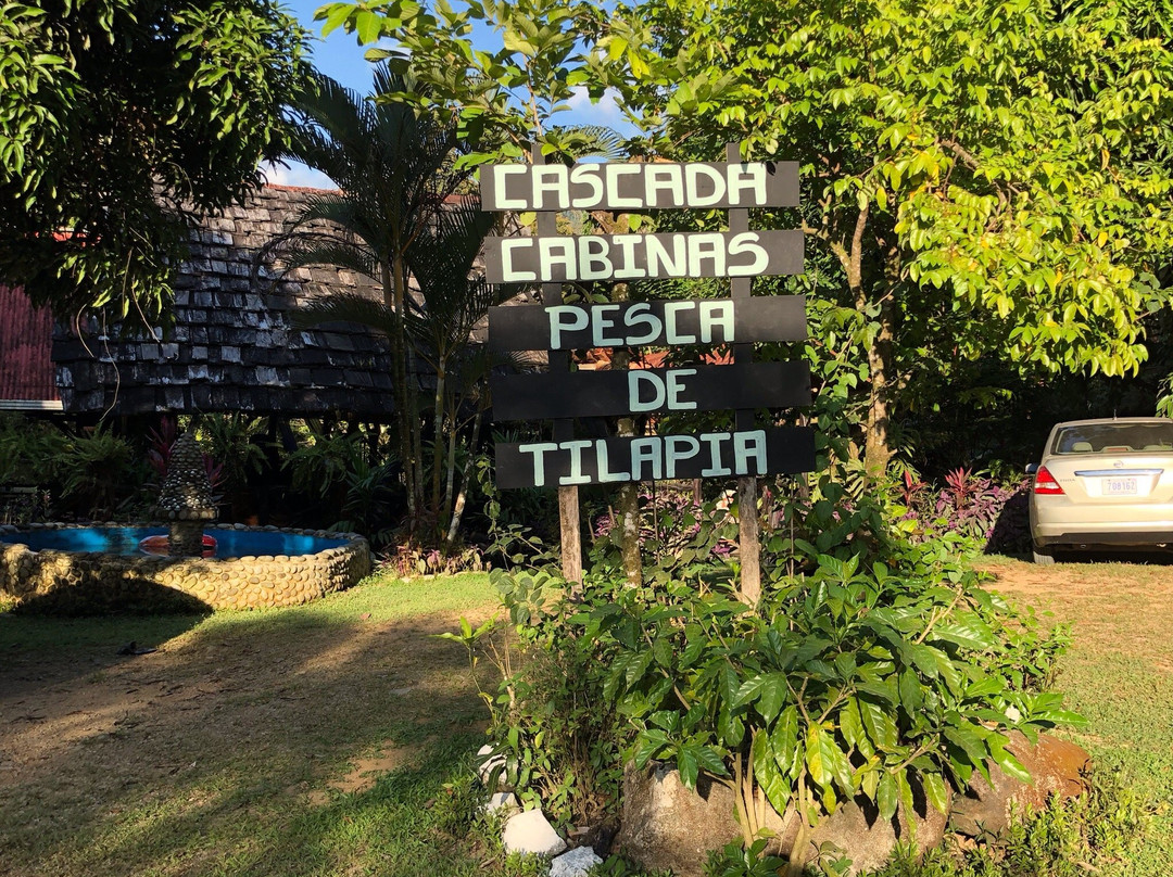Cabinas y Restaurante Tilapias La Cascada主图