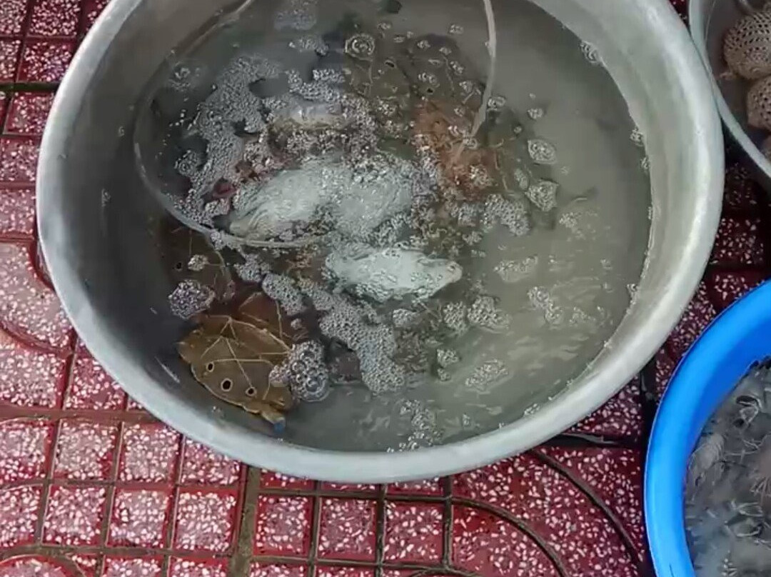 囊航南渡假村主图