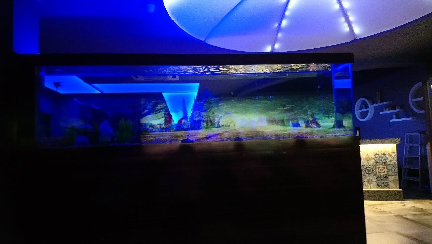 Bektas旅游攻略图片