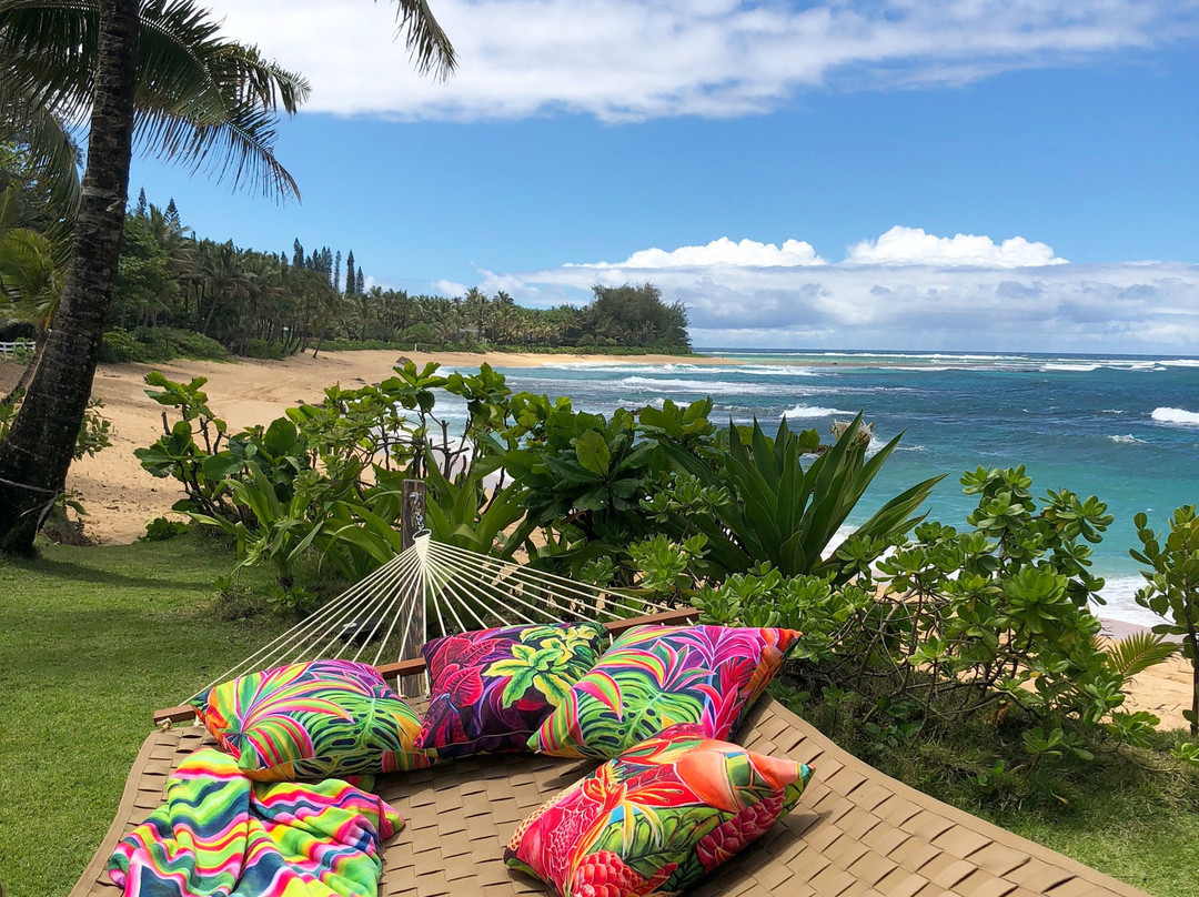 Michal - Art Studio & Boutique of Hanalei-哈纳雷伊必去景点