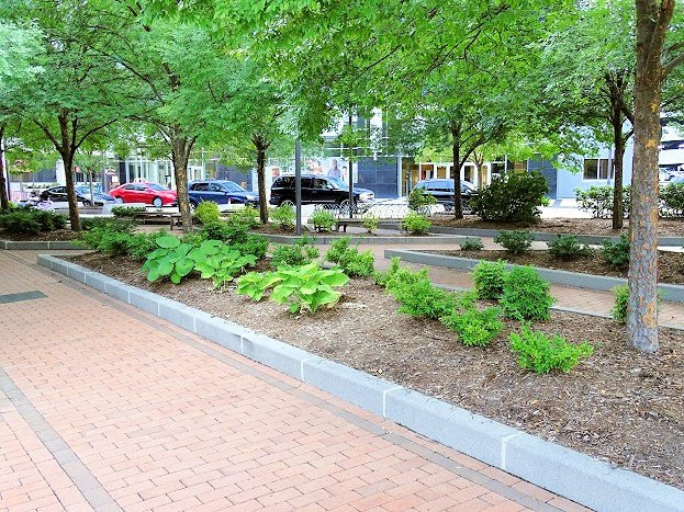 Center City Park景点图片