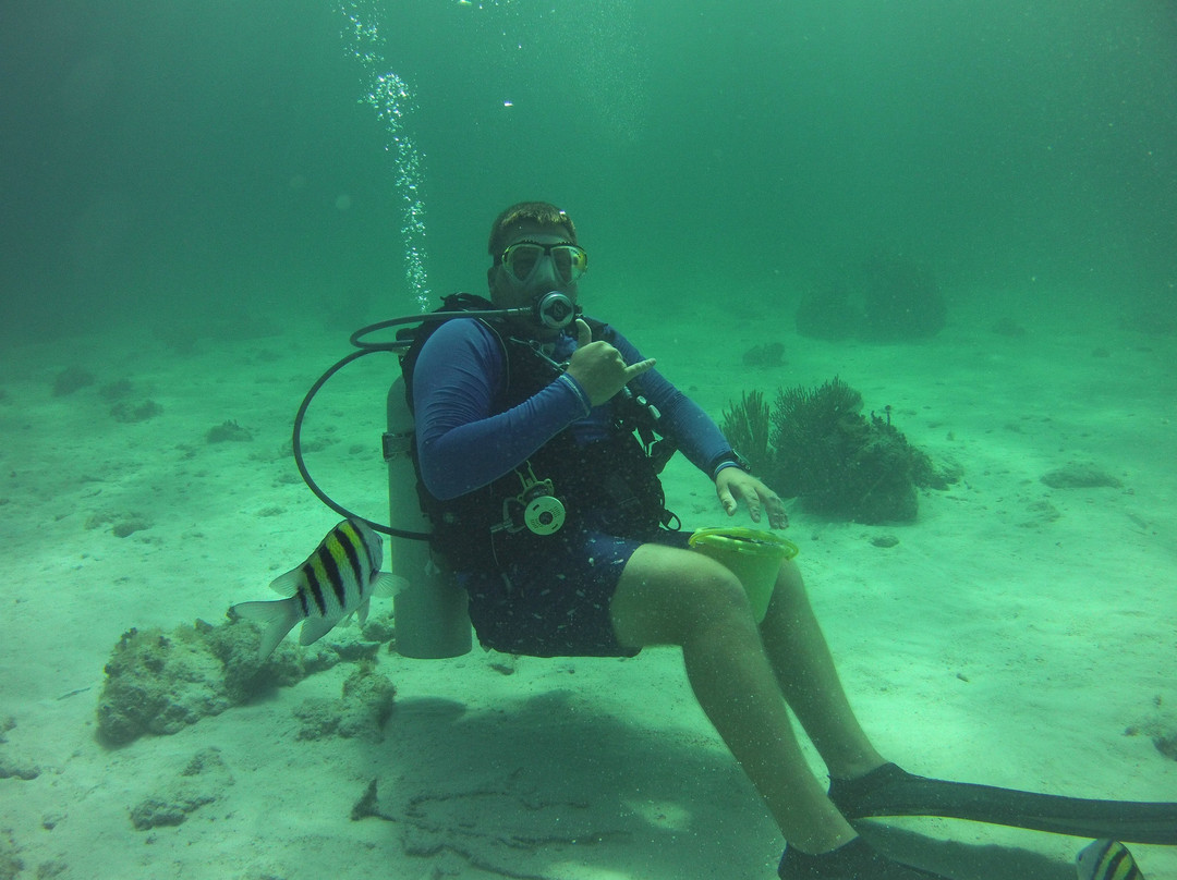 SPE Dive School-Chevy Chase必去景点