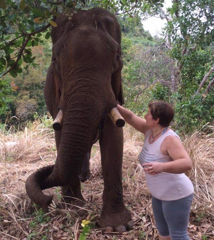 Mondulkiri Adventure Tour景点图片