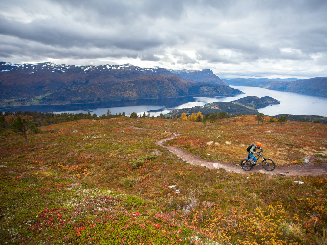 Nordfjord Aktiv景点图片