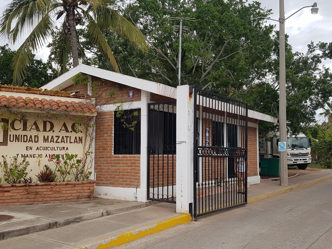 Estero Del Yugo-马萨特兰必去景点