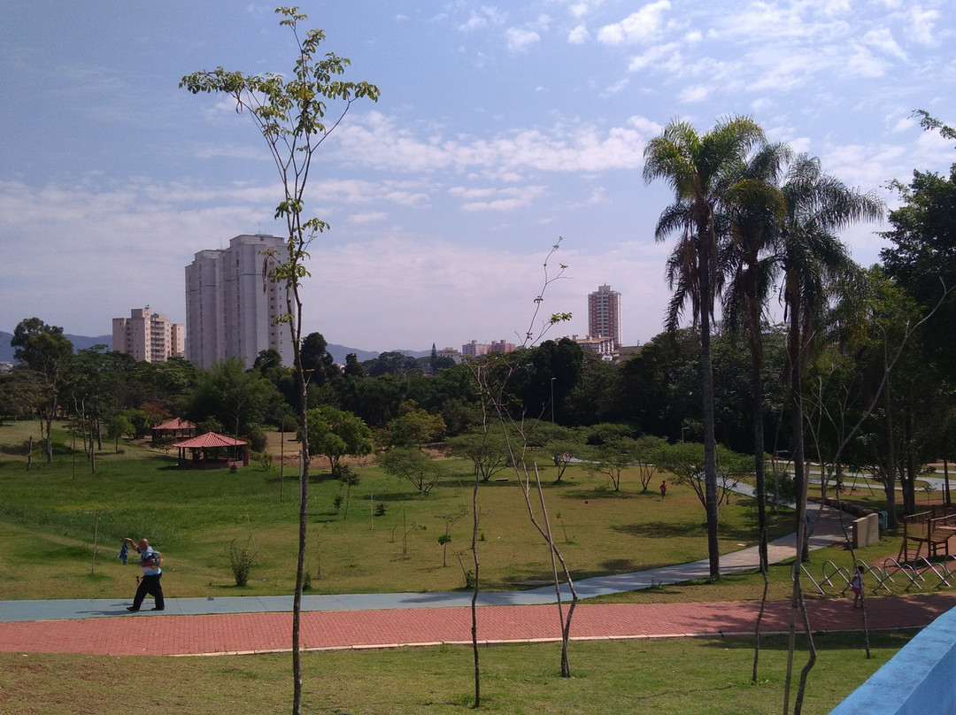Parque da Cidade景点图片