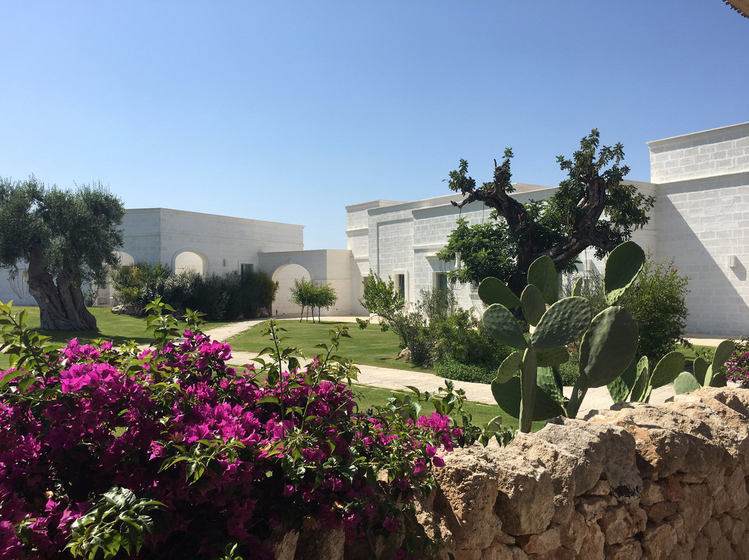 Masseria San Francesco主图