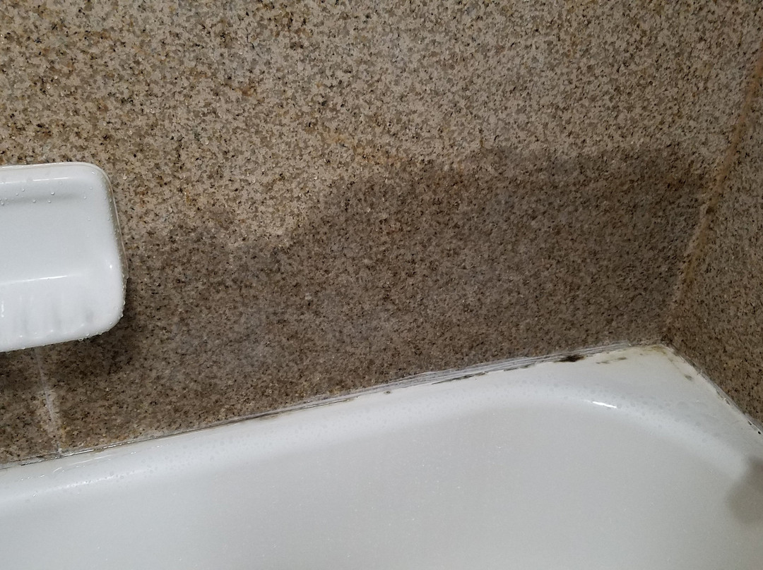 Comfort Suites Kodak主图