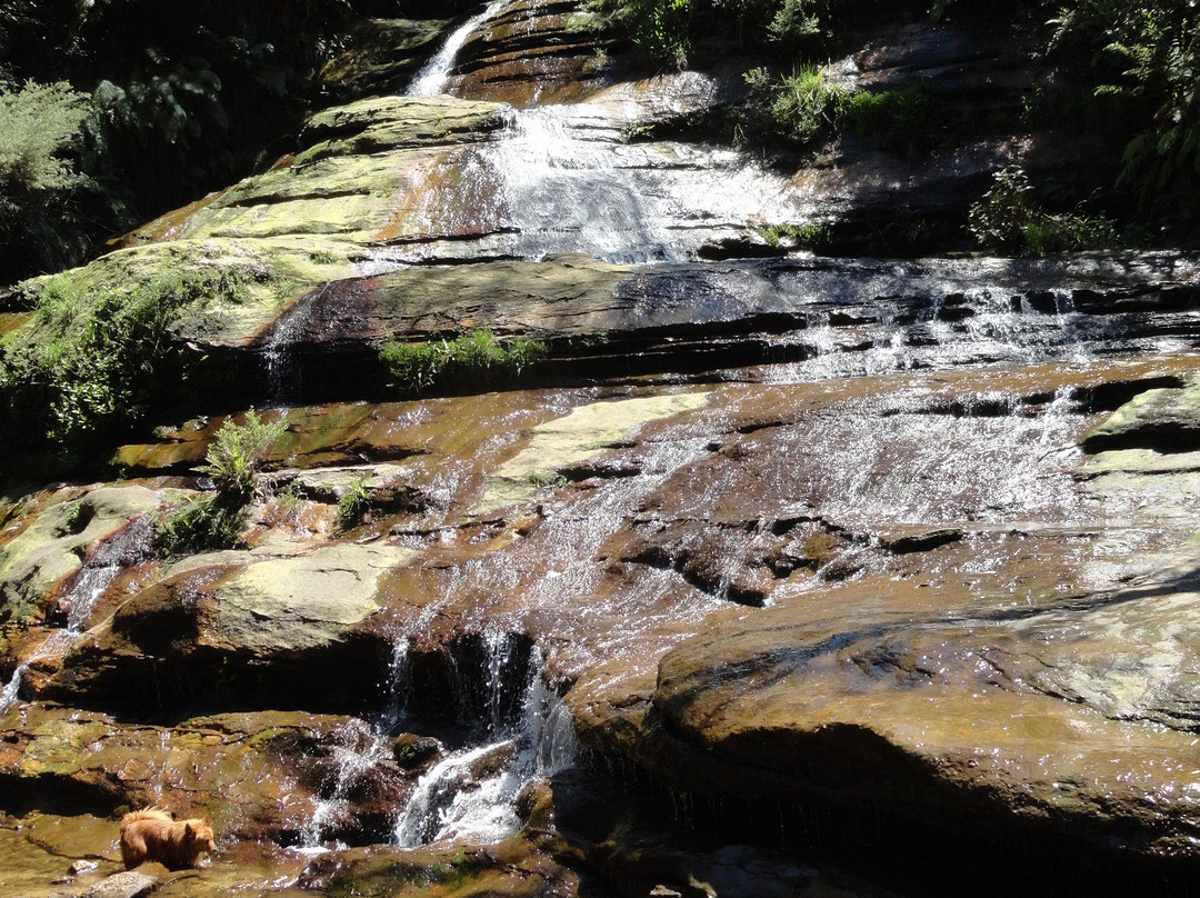 Katoomba Cascades-卡通巴必去景点